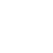 WaveServices Logo